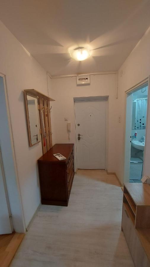 Apartman Milica Vrsac Exterior foto