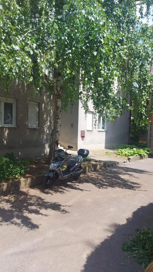 Apartman Milica Vrsac Exterior foto
