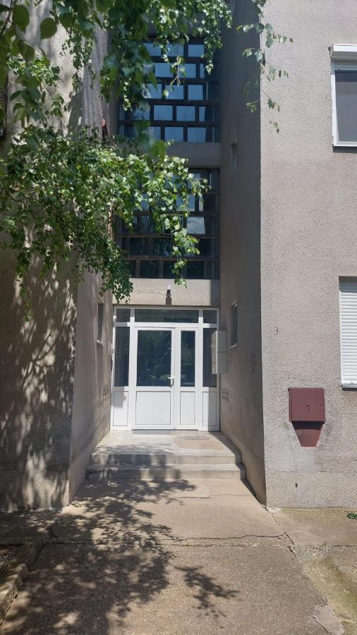 Apartman Milica Vrsac Exterior foto